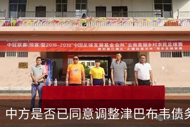 中方是否已同意调整津巴布韦债务？外交部作出回应